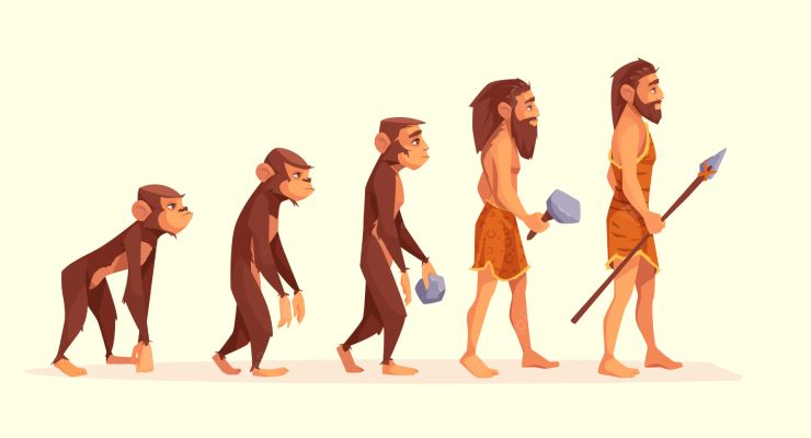 Teori Evolusi Manusia Dari Manusia Kera Berjalan Tegak